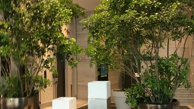 南森町駅周辺のんびり