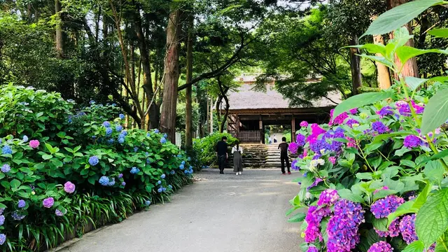 広島からぶらり紫陽花見物+寄り道神社(下道ドライブ)