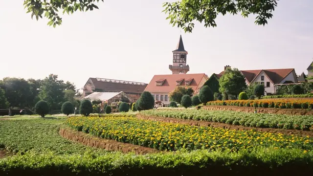 車で行く夏の山梨  桃狩り編