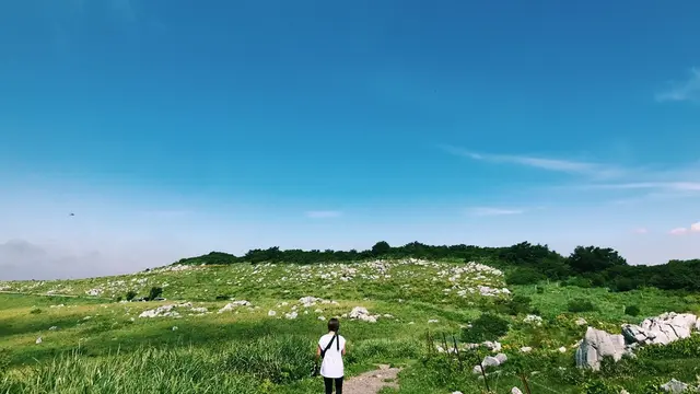 しまなみ海道から渡る高知ざっくり一周女子旅👭