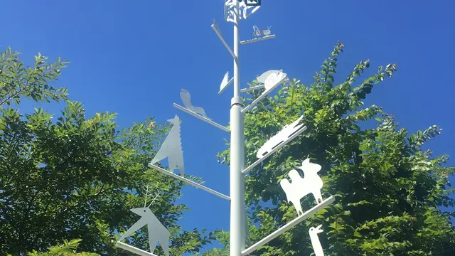 見どころ盛りだくさん。おすすめ札幌発バスツアー。旭川→美瑛→富良野