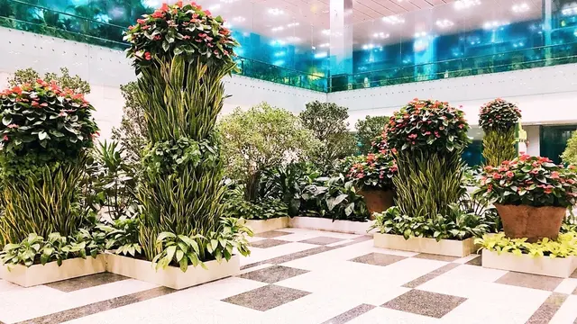 初シンガポール!ベタな観光しよう!