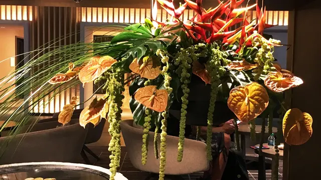 お盆を都内ですごすなら。