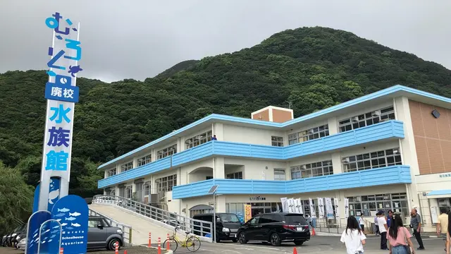 高知市民が作るオススメ県内観光