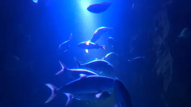 下関・角島 1泊2日の旅