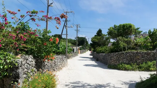 私の沖縄通いの原点・おじぃ・おばぁが待っている竹富島　～　スローライフな島　～