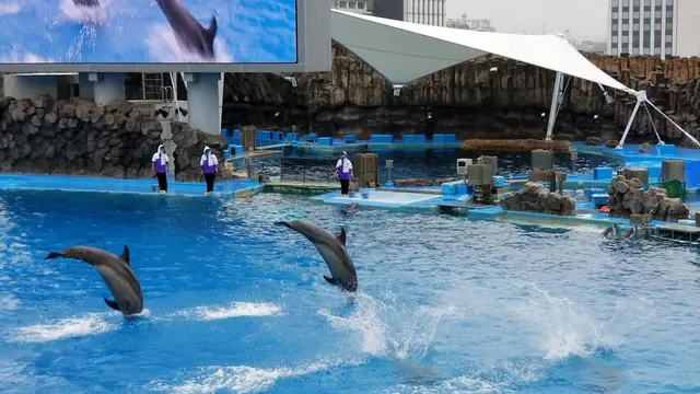 【定番】はじめての名古屋満喫プラン！【1泊2日】