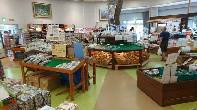 新潟旅行