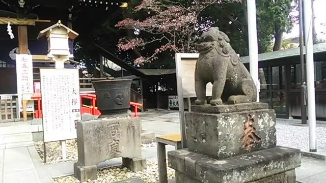 【2022年5月22日放送分】フジテレビ「なりゆき街道旅」で紹介されたお店【埼玉県・川口】