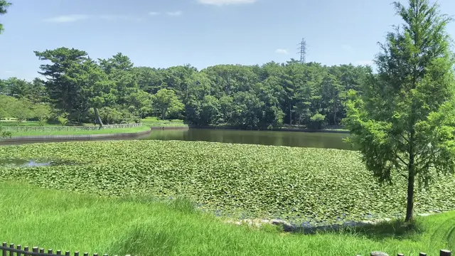 東京オンエア聖地巡礼