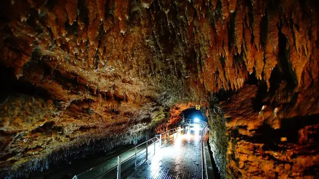 沖縄旅