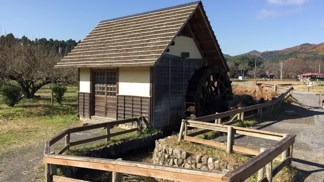 三峯神社と彼岸花をめぐりに埼玉へ日帰りひとり旅