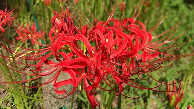 初秋の日高ツーリング