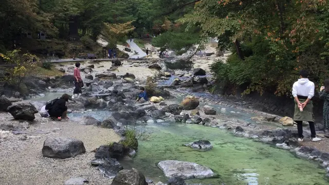 わんこと草津