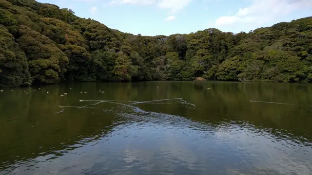 暇な休日 遠征