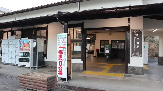 今年初の梅を見に行こう！