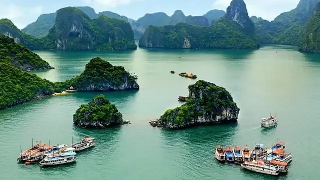 🇻🇳旅行
