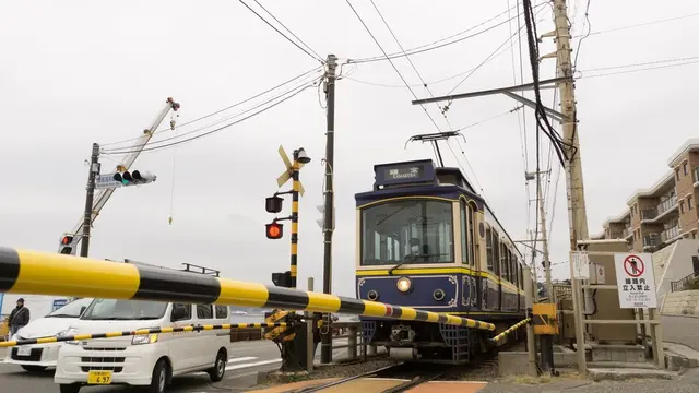 横浜・鎌倉ツアー🐼