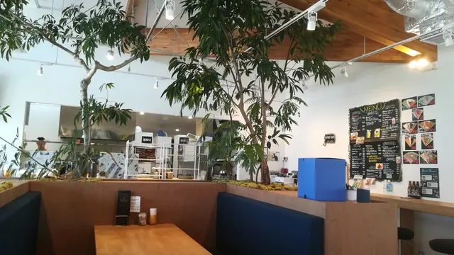 202602河津桜祭り