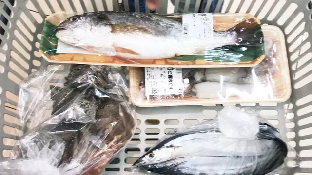 近場の無人島🌴SARUSHIMA