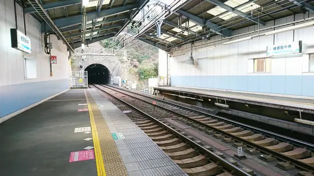 第二海保から海のハイウェイを眺める
