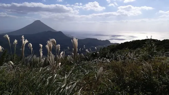 【頴娃町大野岳】薩摩半島のパノラマ絶景スポット大野岳　10月に桜が！？