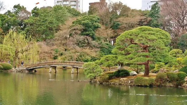 新宿御苑ピクニック