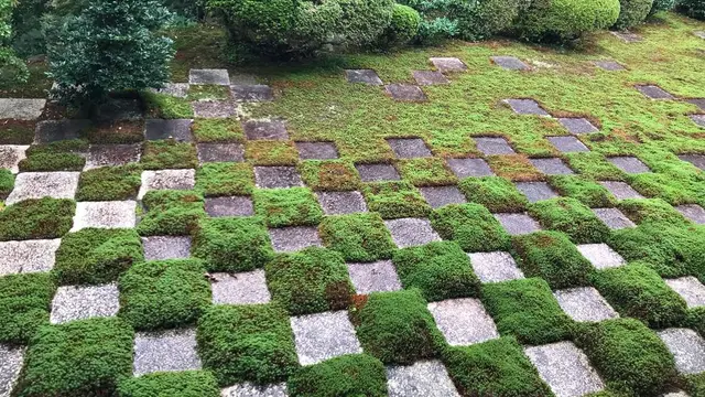 《京都だからできる!》お洒落なお店を巡る秋の日帰り旅