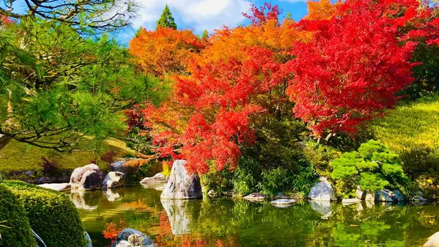 紅葉と芸術の秋🍁