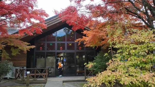 大人のキャンプin日光