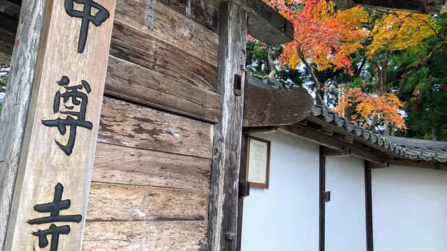 【 岩手 】季節を感じる紅葉とまったり神社とお寺巡り🍁
