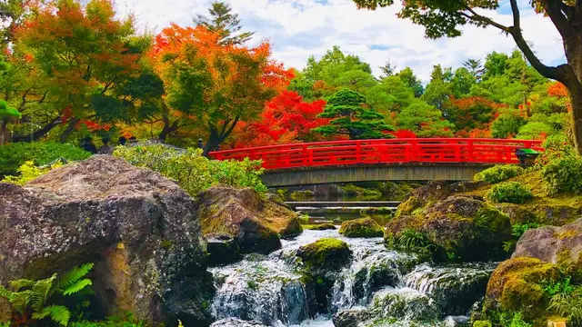 島鳥岡紅葉ドライブ
