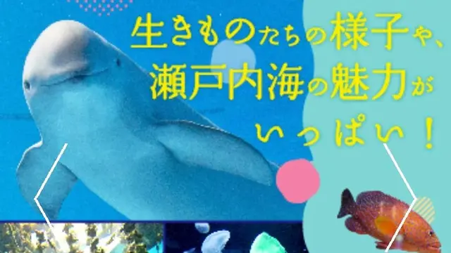 友達が水族館に行きたいと言うので…
