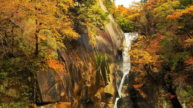 東京から日帰り。昇仙峡で紅葉の旅withわんこ