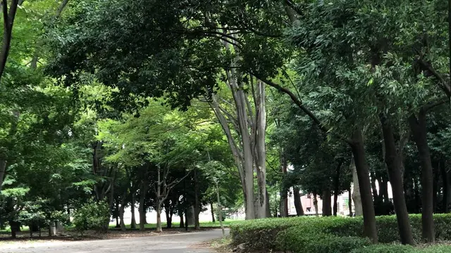 東京のはずれのステキなところ【武蔵野〜小金井】