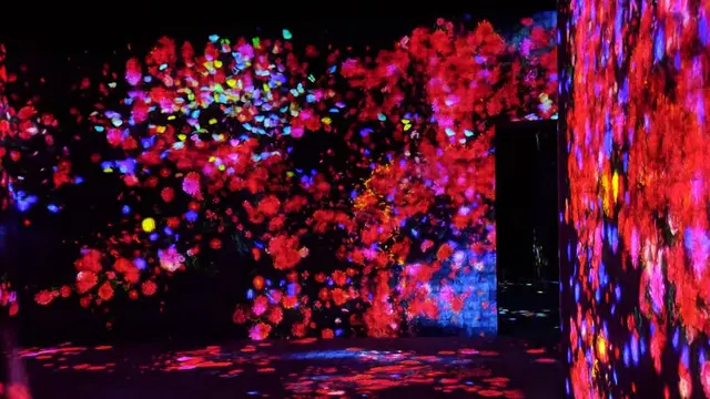 お台場・デジタルアートミュージアムを楽しむ1日☆