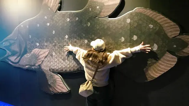 沼津漁港 へ 深海水族館