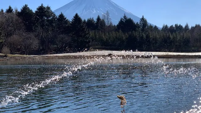 ダイヤモンド富士の富士五湖周遊と新屋山神社で初詣!