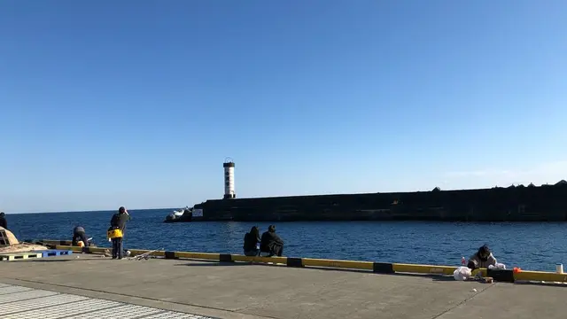 ✅【神奈川】地元案内旅😇