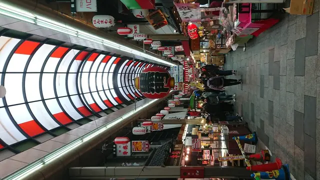 大阪市内 半日御朱印巡り+観光