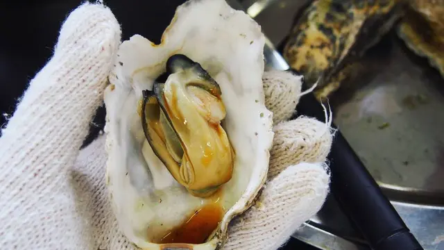 冬の塩釜・松島  美味しい海鮮を食べに行こう！