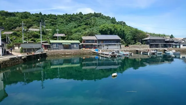 猫に会いに行く　青島