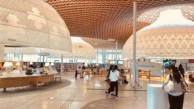 美しく芸術的な図書館への旅📖
