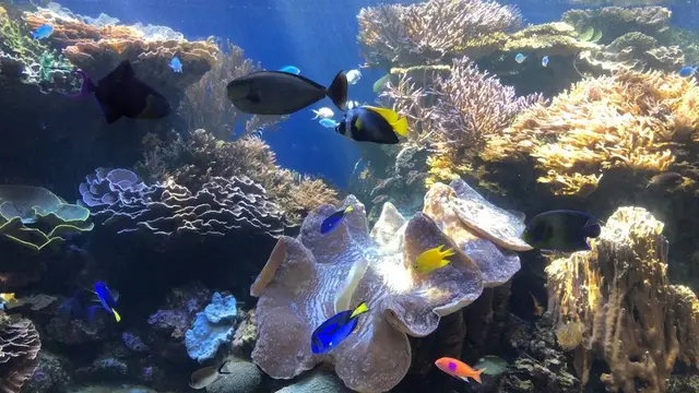 動物好きなあなたにおすすめのプラン！