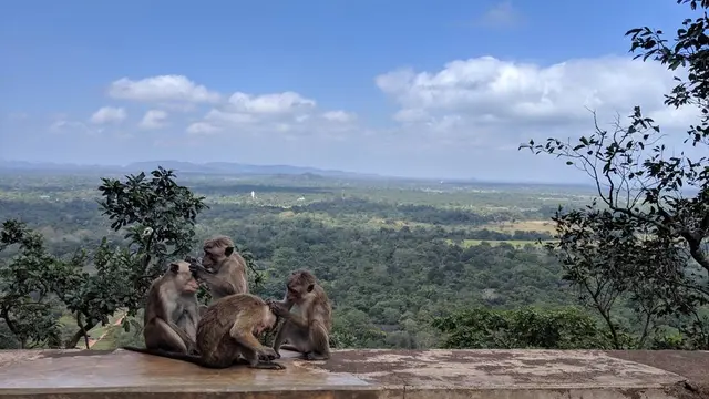 感動の絶景!スリランカの世界遺産・古都シギリヤで最高のリフレッシュ