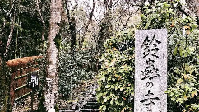 鈴虫寺→嵐山食べ歩き