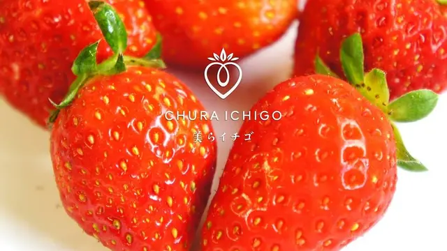 南城市でイチゴ狩りとカフェめぐり