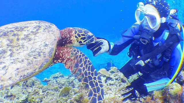 心とお腹を満たす旅🏖沖縄那覇観光にダイビング✨ひとりでもパーフェクトに楽しい3泊4日女子旅とは🎶