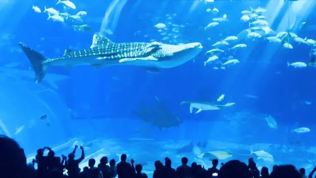 沖縄旅行🌺💙