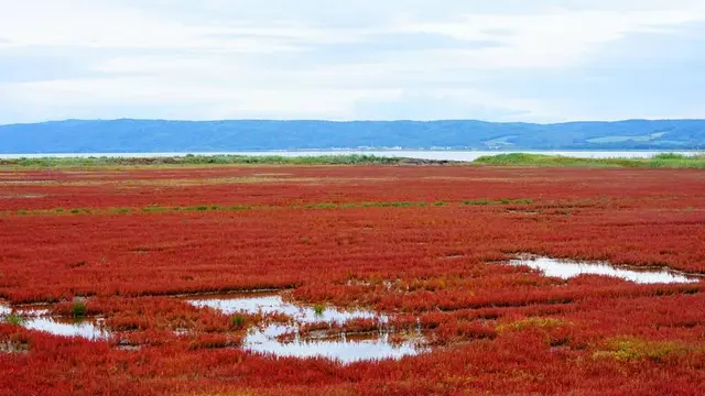 ためされすぎだいち